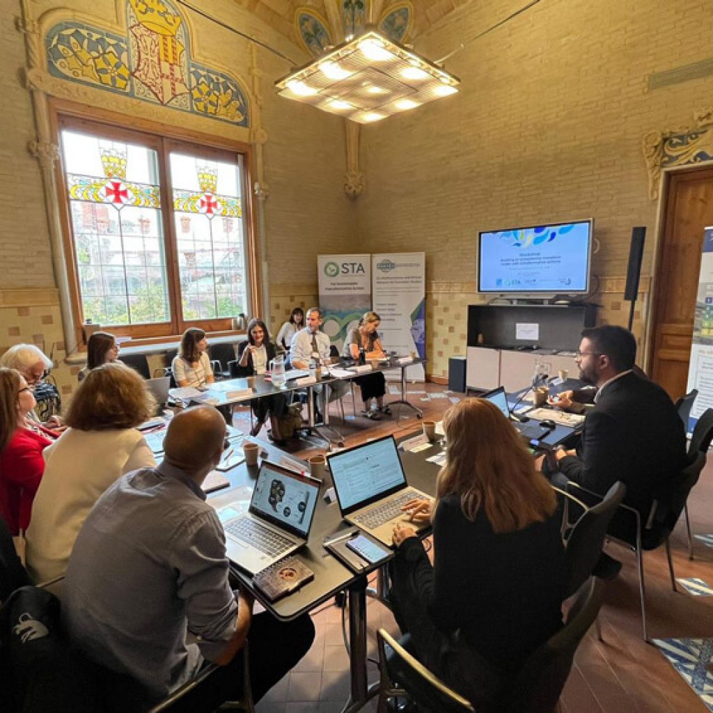 EMEA organises workshop on building an ecosystemic transition model with transformative actions